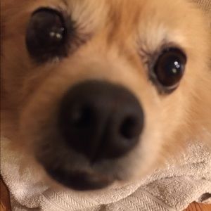 Meet your Posher, Junne